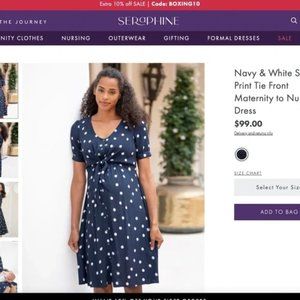 Seraphine Maternity to Nursing Dress